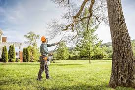 Best Storm Damage Tree Cleanup  in Twin Rivers, NJ